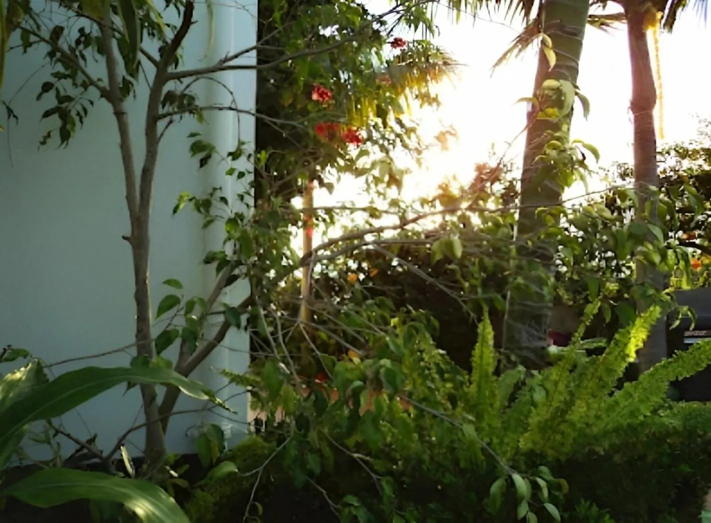 Eden Villa - Pool, Barbecue, Spectacular Views, Up To 7 Guests Funchal  Portugal